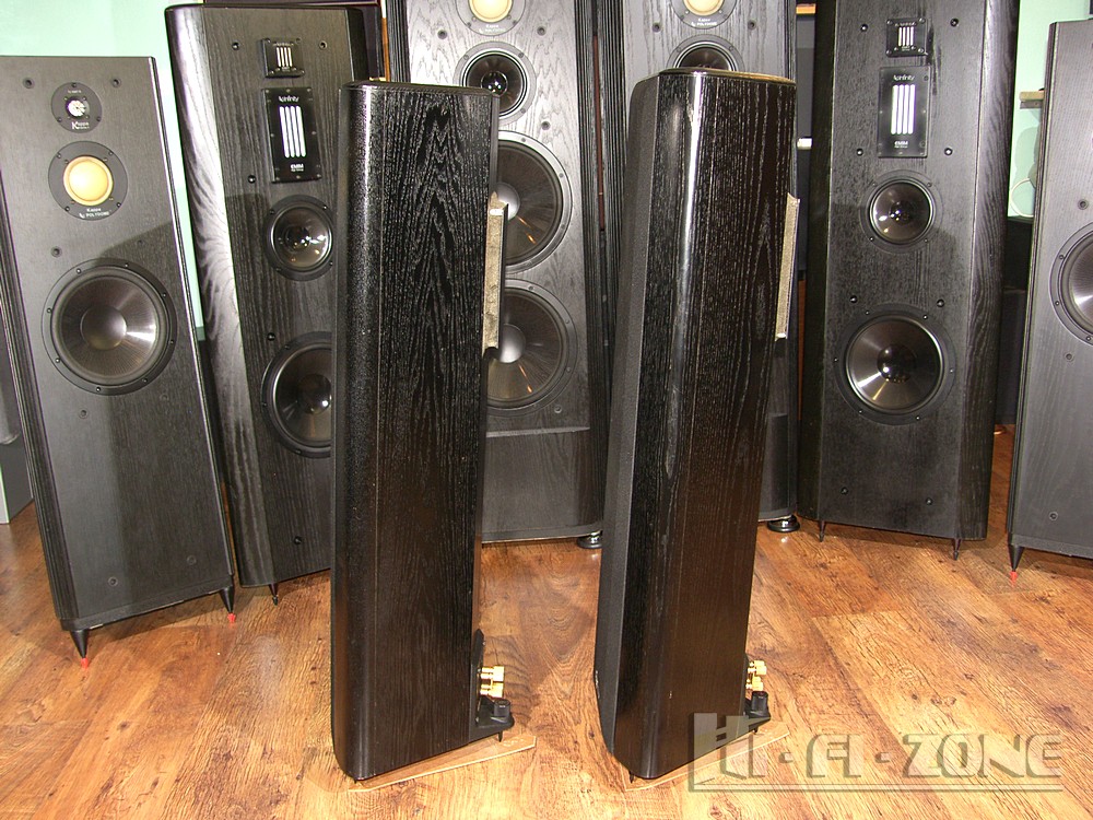 Infinity Renaissance 80 | Hi-Fi-Zone - Аудио Техника