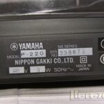 SAMSUNG DIGITAL CAMERA